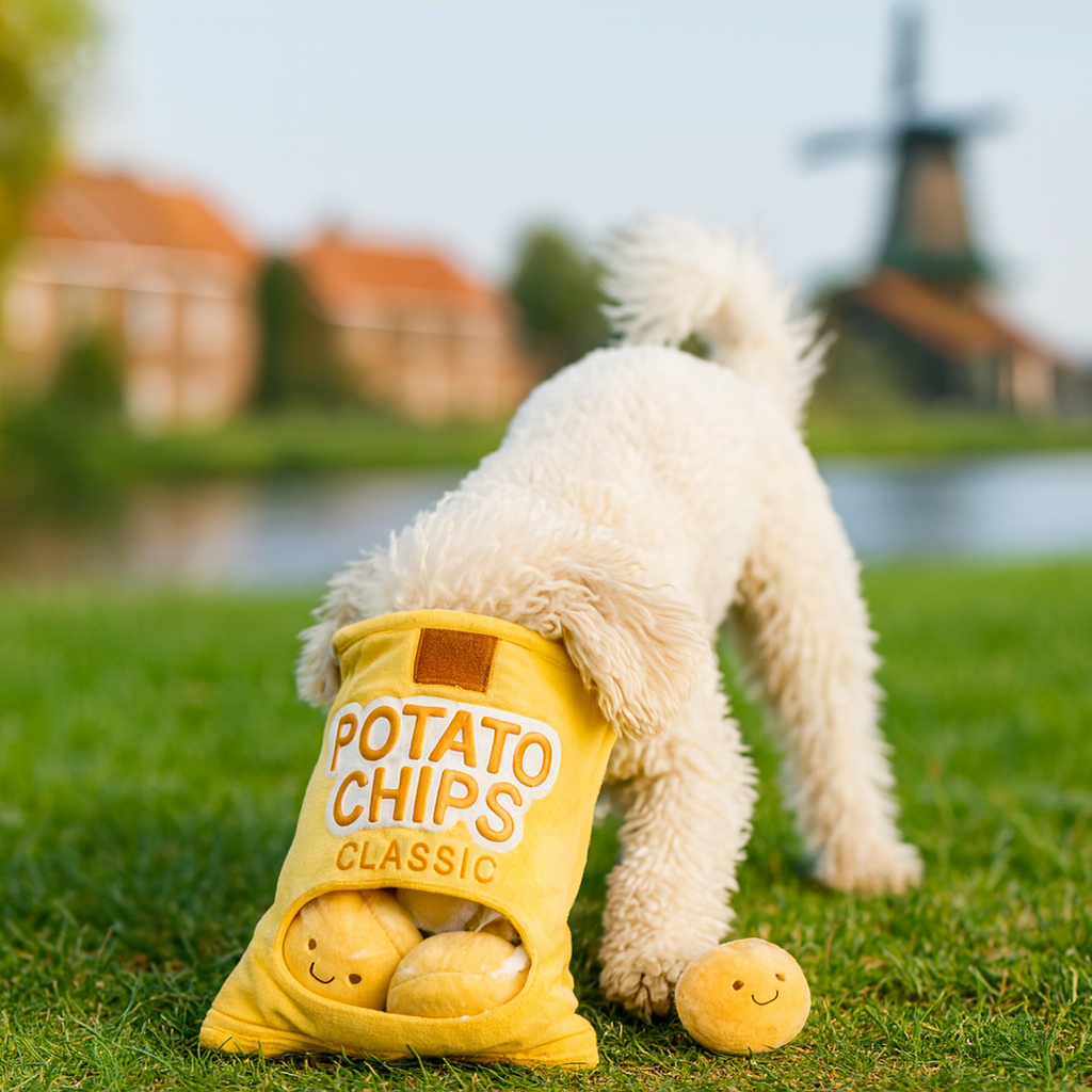 Chipszak hondenspeeltje S (pluche) | Floofr