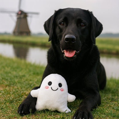 Halloween hondenspeel­tje S Spooky (pluche & pieper) | Floofr