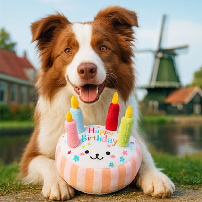 Verjaardagstaart hondenspeeltje S | Floofr