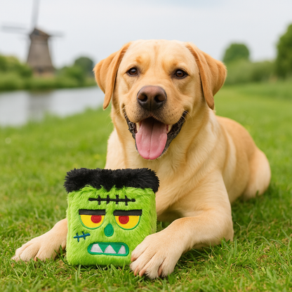 Halloween monster hondenspeeltje S (pluche & pieper) | Floofr